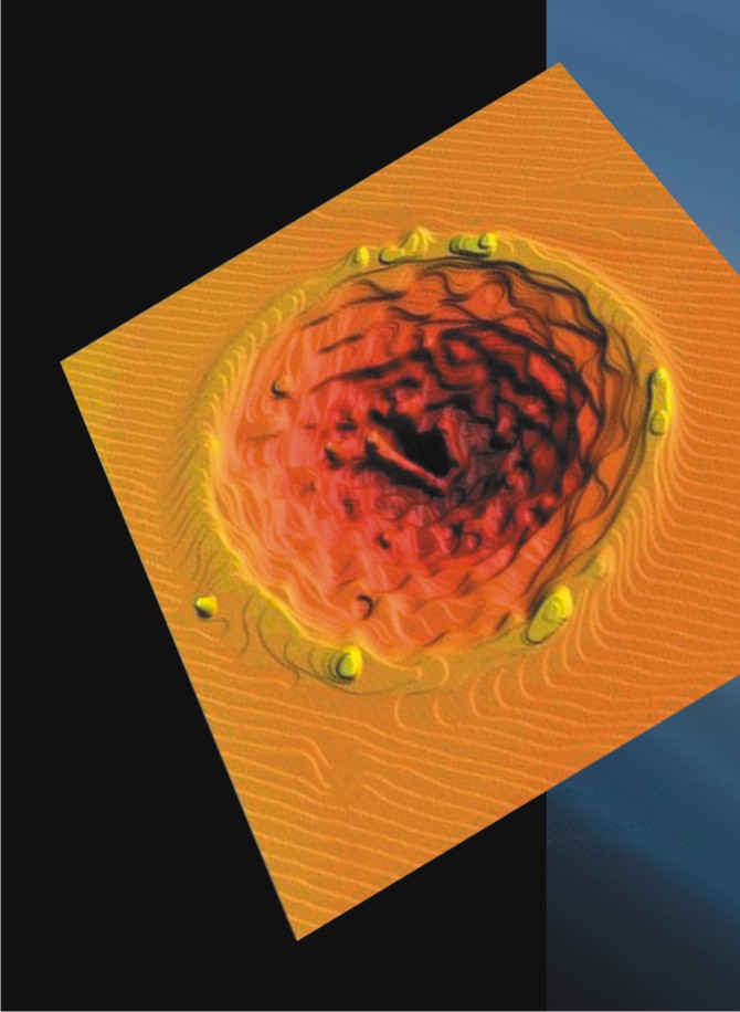 纳米显微镜下的量子森林