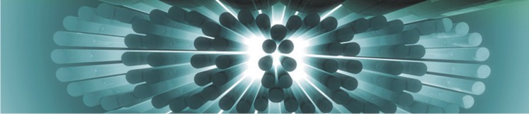 到底有没有自由意志？