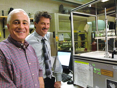 beetles-researchers-enlarged