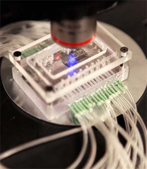 programmable-lab-on-a-chip