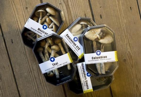 Boxes containing magic mushrooms are displayed at coffee and smart shop in Rotterdam