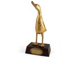 金鸭