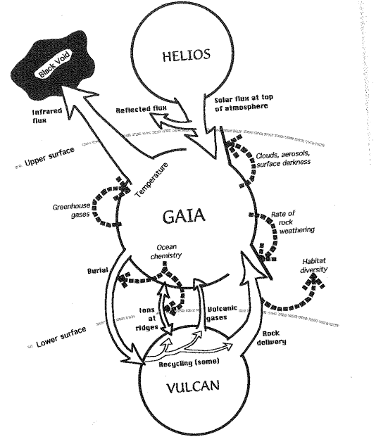 wipc959ytzx02bwam5rxy1fwykfcby4q