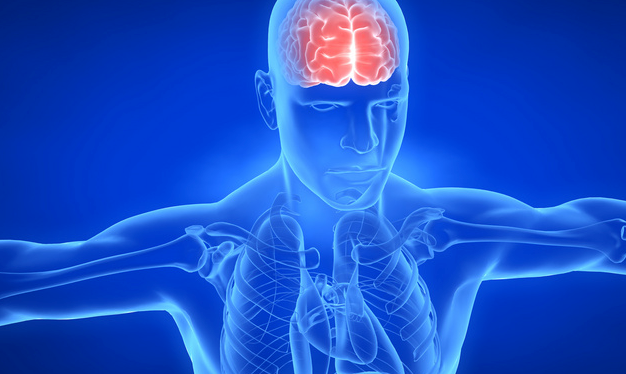 科学家试用脑电波破译新冠神经症状 科学家试用脑电波破译新冠神经症状