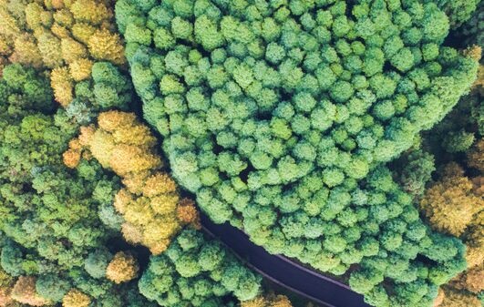 亚洲最大生物物种诺亚方舟,种子存放200年还能保持活力 亚洲最大生物物种诺亚方舟,种子存放200年还能保持活力