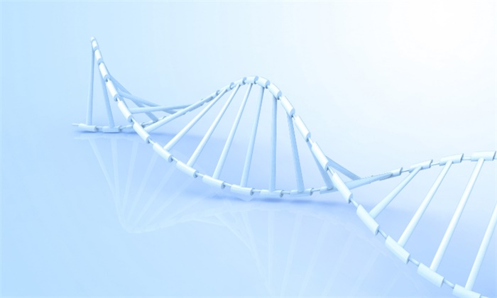 《科学》:先进成像技术成功捕捉到母体基因组的翻译过程 《科学》:先进成像技术成功捕捉到母体基因组的翻译过程