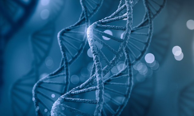 《物理化学快报》：生物仿生串联重复蛋白中的水合诱导结构转变