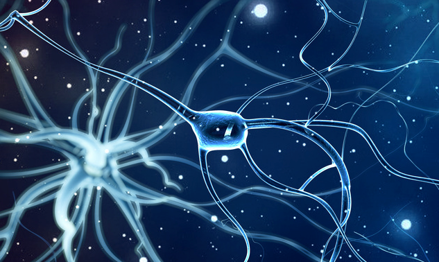 《自然》：新研究揭示人体细胞中“电梯”的奥秘，成果可治疗老年痴呆