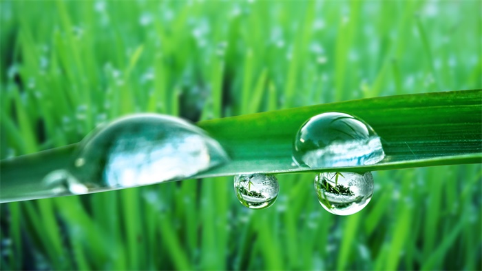 晒太阳也可能出大事!科学家确认危险太阳粒子来源 晒太阳也可能出大事!科学家确认危险太阳粒子来源