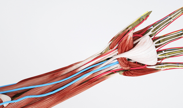 全球首例！北京积水潭医院利用3D打印技术为患者再造拇指