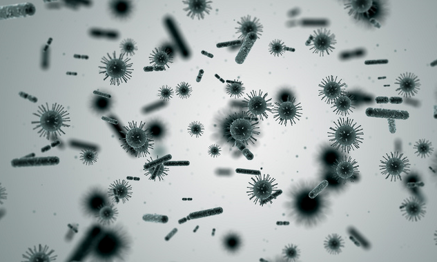 青蛙细胞制成的“活体机器人”升级版来了：不仅长记性，还能自我修复！