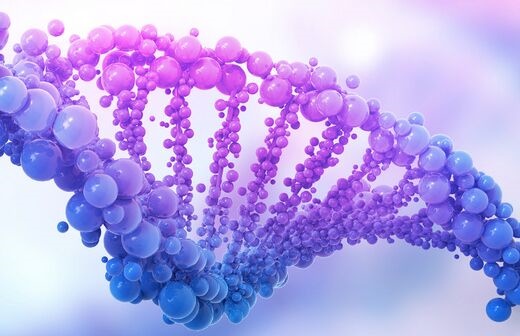 远古祖先遗传的“垃圾”DNA或重塑大脑 远古祖先遗传的“垃圾”DNA或重塑大脑