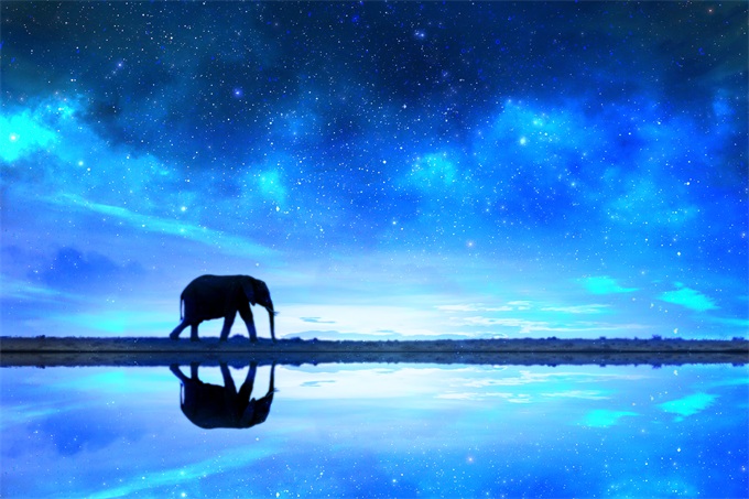 智能变智障？AI摄像误认裁判光头为足球 90分钟比赛全程跟拍还给特写