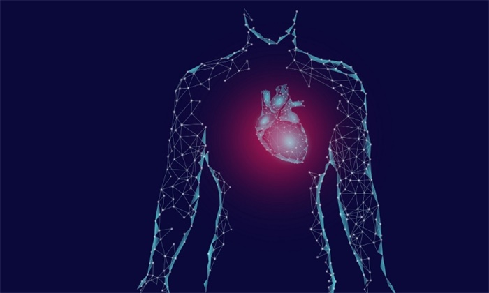 3D生物打印再立新功！美国科学家成功打印柔软的全尺寸心脏模型