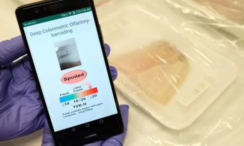 嗅觉AI:为减少食物浪费出点力 嗅觉AI:为减少食物浪费出点力