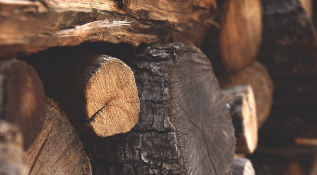 新鲜事!科学家用木头制造生物塑料,性能优异环保无害 新鲜事!科学家用木头制造生物塑料,性能优异环保无害