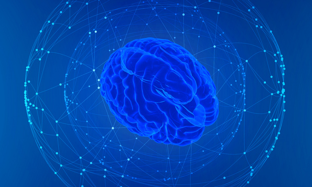 惊人!科学家利用3D打印生物反应器培育出大脑类器官,可实时研究其生长发育 惊人!科学家利用3D打印生物反应器培育出大脑类器官,可实时研究其生长发育