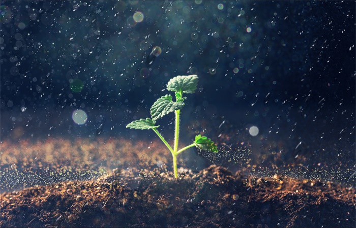 雨滴物理学中潜藏人类新家园的消息 雨滴物理学中潜藏人类新家园的消息