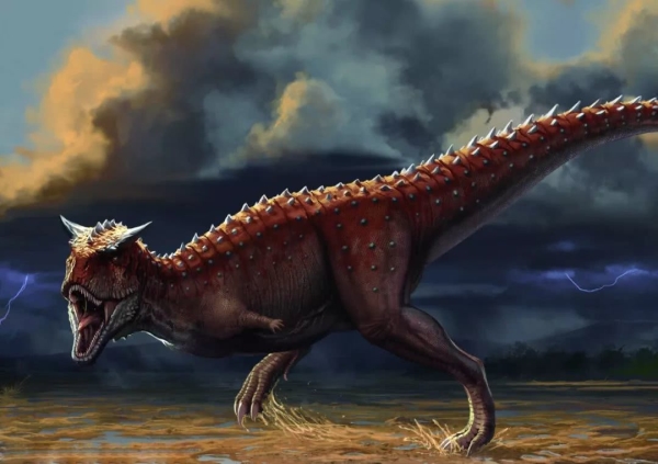 什么恐龙最厉害食肉图片