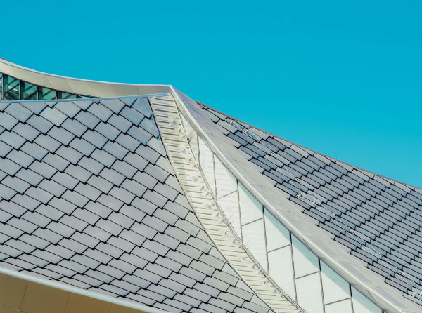 谷歌,无碳化运营 谷歌,无碳化运营