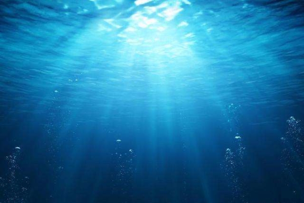 微生物，氮循环