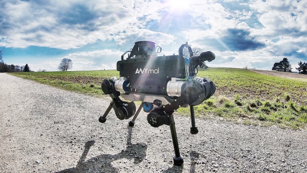 机器人，神经网络