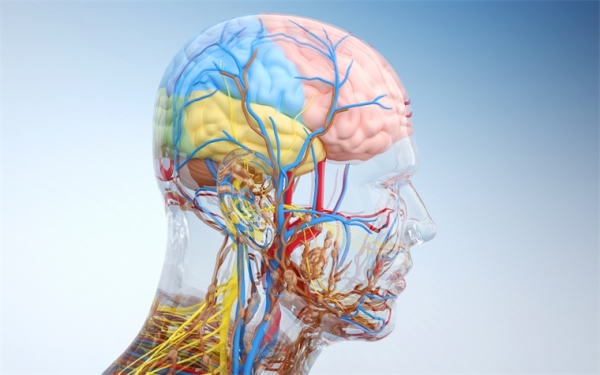 宇航员,太空旅行 宇航员,太空旅行