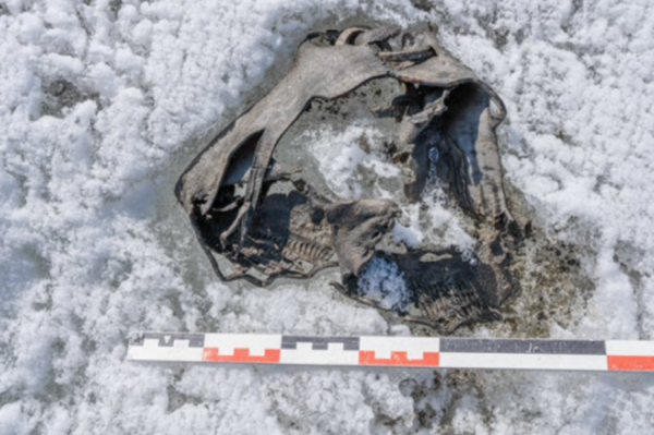 凉鞋,古罗马 凉鞋,古罗马