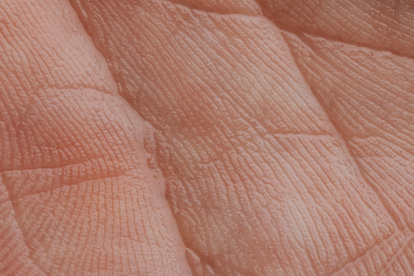 人类,皮肤,纹理 人类,皮肤,纹理