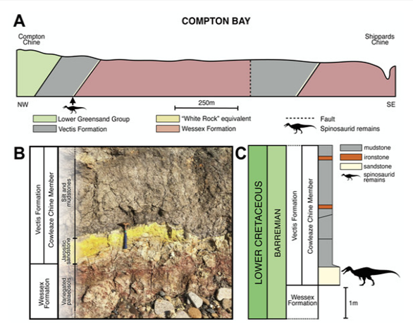 恐龙化石,论文 恐龙化石,论文