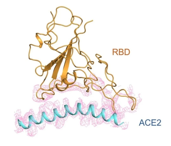 俄公司希望在太空打印新冠病毒，以研发新冠治疗药物