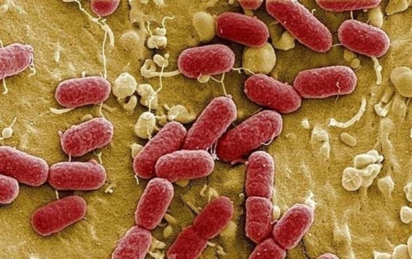 纺织品,抗菌,金属纳米 纺织品,抗菌,金属纳米