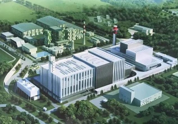 海洋垃圾,塑料,环境 海洋垃圾,塑料,环境