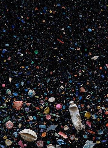 海洋垃圾,塑料,环境 海洋垃圾,塑料,环境