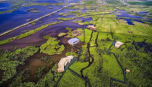 海洋垃圾,塑料,环境 海洋垃圾,塑料,环境