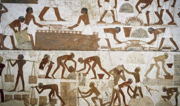 人类,大脑,社会群体 人类,大脑,社会群体