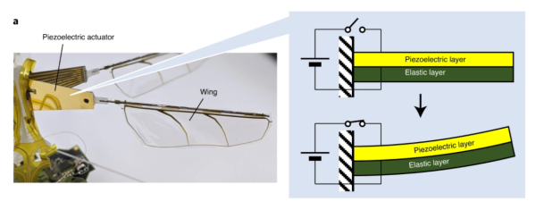 扑翼机器人，无线射频动力