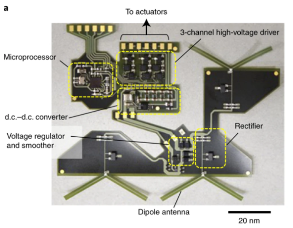 扑翼机器人,无线射频动力 扑翼机器人,无线射频动力