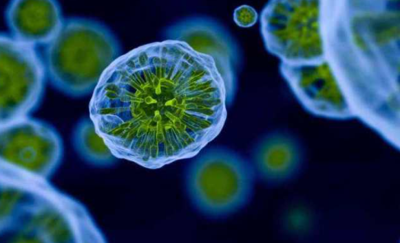 宇航员,太空 宇航员,太空