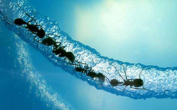 算法,互联网 算法,互联网