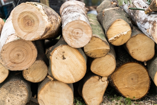 木材,资源,3D打印 木材,资源,3D打印