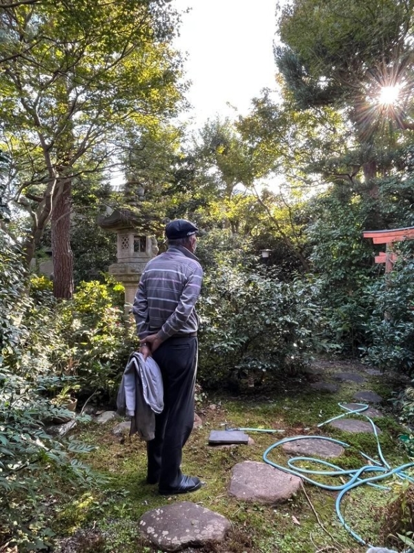 宝可梦,元宇宙 宝可梦,元宇宙