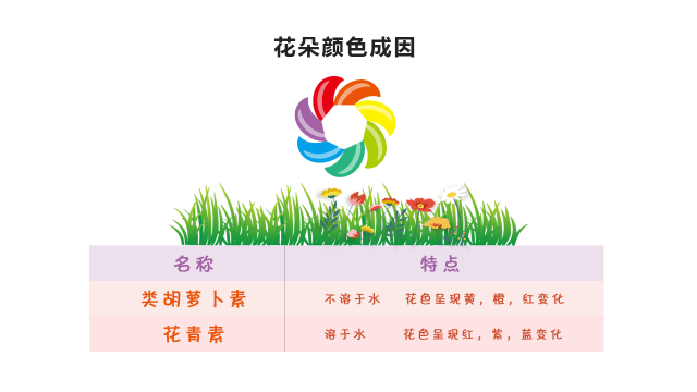 花的颜色是如何形成的 中国数字科技馆