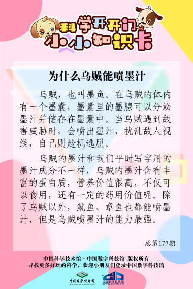 乌贼;喷墨汁