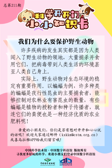 为什么;保护;野生动物