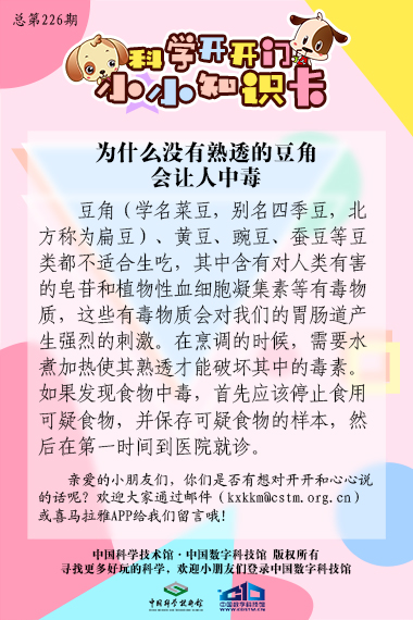 熟透;豆角;中毒