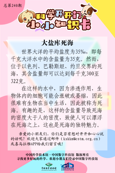 自然地理特辑;大盐库死海