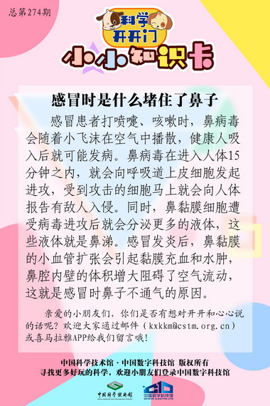 感冒时是什么堵住了鼻子吗,鼻腔内壁,鼻黏膜细胞