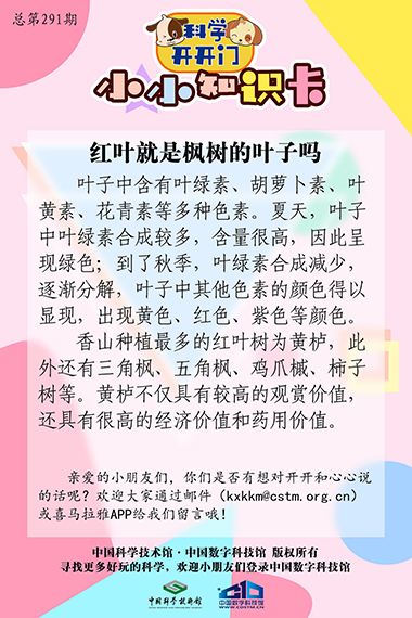 红叶就是枫树的叶子吗,红叶的季节,还有哪些叶子也会变红呢