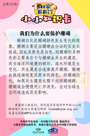 我们为什么要保护珊瑚,珊瑚白化现象,去大海里种珊瑚的原因